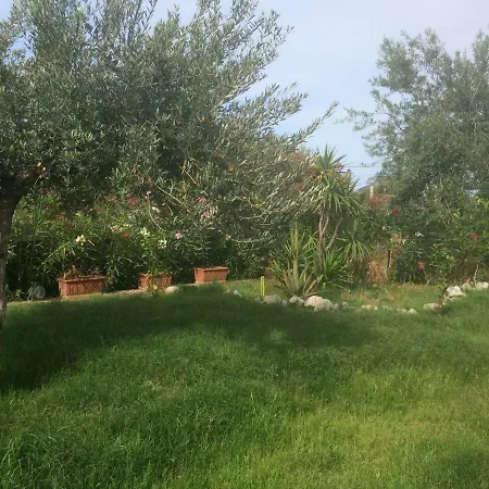 Alice * Cefalù